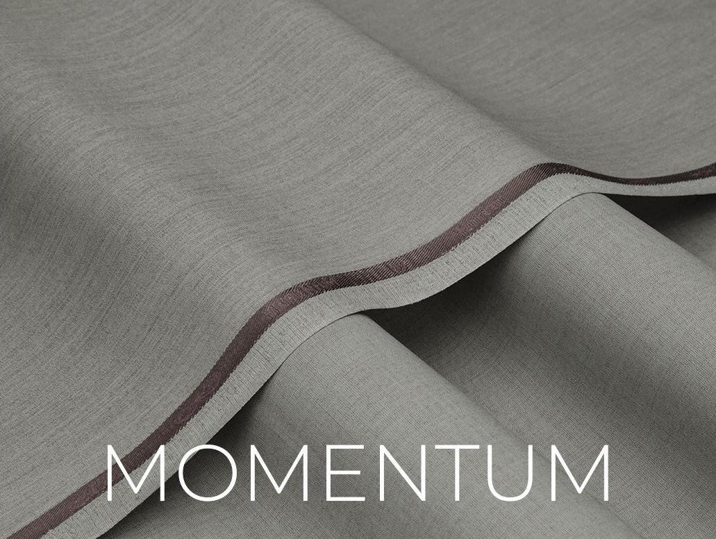 Momentum